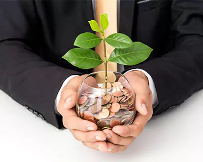 Mutual Fund Illustration